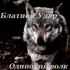 Блатной Удар - Одинокий волк