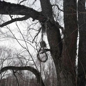 никому никогда - не ждёшь обратно