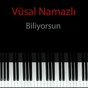 Vüsal Namazlı - Biliyorsun