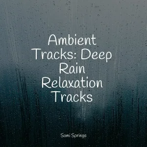 Lullabies for Deep Meditation, ambiente, Weather Sounds - Small Ocean Waves Lapping