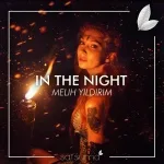 Melih Yıldırım - In The Night