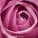 Hayit Murat - Your Love