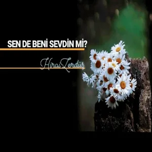 Hirai Zerdüş - Seven Eder Mi Böyle
