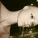 ly0ly0ly feat. DJ MA GILLA - Мир