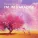 The Square - Boats Against the Current