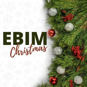 Ebim Christmas feat. Emanuela Bongiorni Live Band - Let it Snow