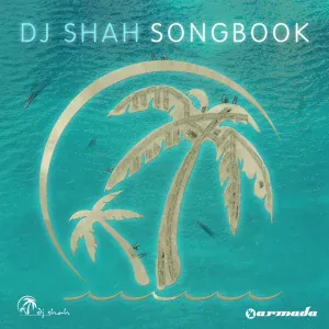 Armin van Buuren, DJ Shah feat. Chris Jones - Going Wrong