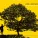 Jack Johnson - Never Know