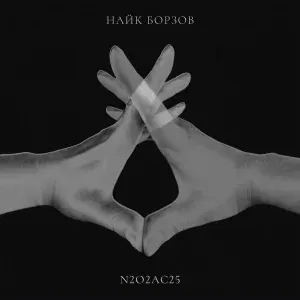 Найк Борзов - Я спросил у ясеня (Acoustic)