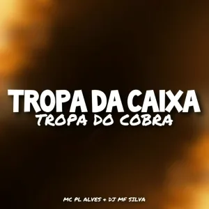 DJ MF SILVA, mc pl alves - TROPA DA CAIXA, TROPA DO COBRA