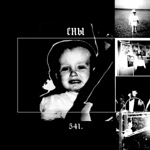 541 - хатико