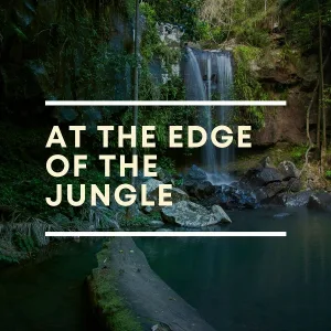 Rain Sounds Nature Collection - Isnt Always the Same