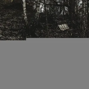 деанойс - траур