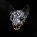 Darci - Ghostly