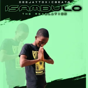 Deejaytoxicbeats feat. Role Model Yamagcokama - Inkanyezi (feat. Role Model Yamagcokama)
