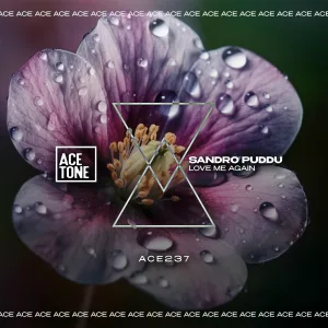 Sandro Puddu - Love Me Again