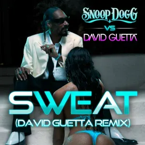 Snoop Dogg feat. David Guetta - Wet (Snoop Dogg Vs. David Guetta)