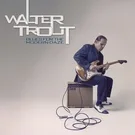 Walter Trout - All I Want Is You