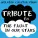 Molotov Cocktail Piano - All of the Stars