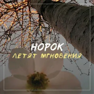 Норок - О чем плачут гитары