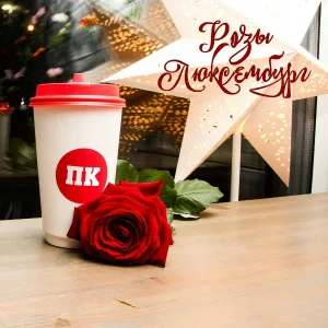 Розы Люксембург - Пк