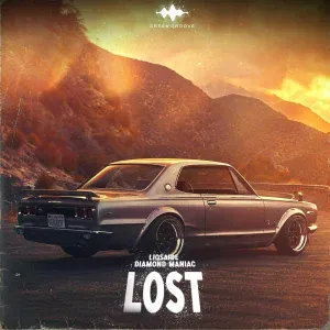 LIQSAIDE, Diamond Maniac - LOST