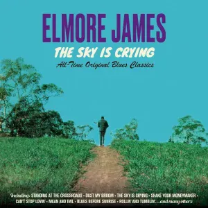 Elmore James - Dust My Room