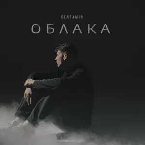 Seneamin - Облака