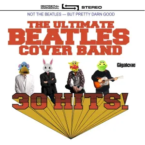 The Ultimate Beatles Cover Band - We Can Work It Out
