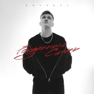 SELYAVI - Проблемы
