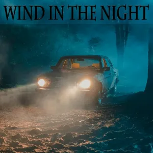 Freddy J. Romero - Wind in the Night 1