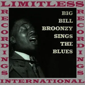 Big Bill Broonzy - Rock Me Baby