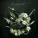 Ki:Theory feat. Ruelle - Bringing Me Down (feat. Ruelle)