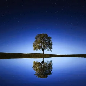 Very Calming Music - Very Peaceful Sleep