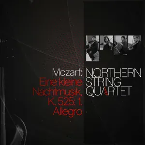 Wolfgang Amadeus Mozart - Eine kleine nachtmusik, K. 525: 1. Allegro