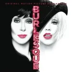 Cher - You Haven't Seen the Last of Me