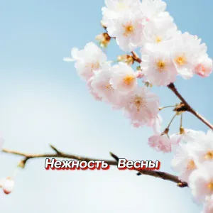 Гравитация - МОЙ АНГЕЛ