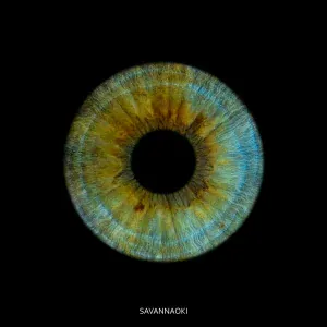 SavannaOki - Глаза