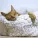 Sleep Rain, Deep Sleep FX, Music to Relax in Free Time - Time for Chill