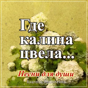 Анатолий Ярмоленко - Родной уголок