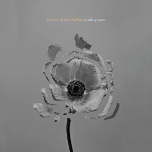 The Naked And Famous - Rolling Waves