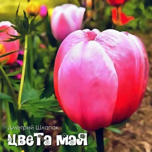 Дмитрий Шлапак - Цвета мая