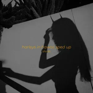 Shade - Harleys in Hawaii Sped Up