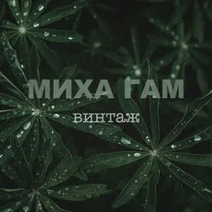 Миха Гам - Ладонь в Небо