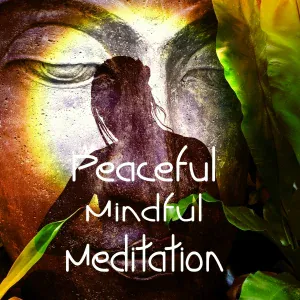 Meditation Music Zone - Bones For Thought