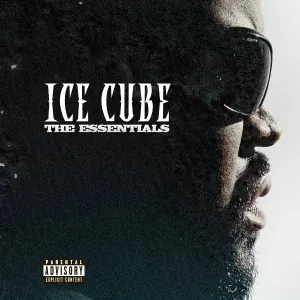 Ice Cube feat. Lil Jon, Snoop Dogg - Go To Church