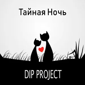 DIP Project - Тайная ночь