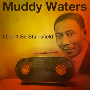 Muddy Waters - Mean Red Spider