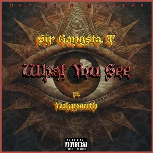 Sir Gangsta. T feat. Yukmouth - What You See (feat. Yukmouth)
