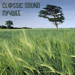 Cl@ssic Sound - Вальс цветов